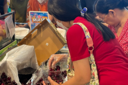 Giá cherry Mỹ bán tại TP HCM giảm chưa từng thấy