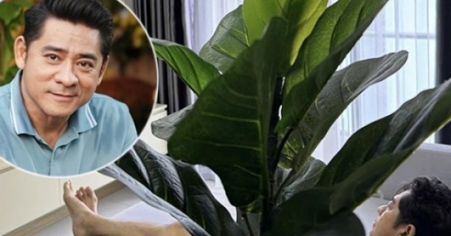 Huỳnh Anh Tuấn về TP HCM dưỡng bệnh sau đột quỵ