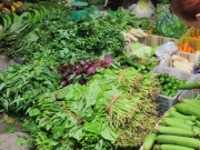 Thị trường - Tiêu dùng - Loại rau giàu canxi gấp 7 lần canh xương hầm, bán đầy chợ với giá chỉ từ 3.000 đồng/bó