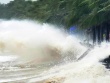 Biển Đông đón bão số 4 có tên là Cỏ may