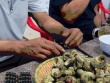 Hải sản Lý Sơn vỏ xù xì, có 'mắt ngọc' lấp lánh, khách gõ nhừ tay mới được ăn