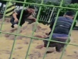 Chủ tiệm ô tô và nhân viên hết mình giải cứu cụ ông 70 tuổi giữa dòng nước xiết