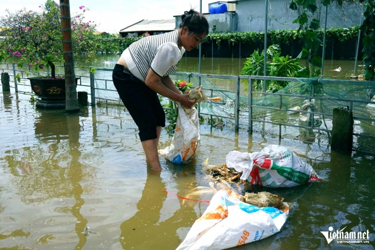 Chị Na đang dọn dẹp số gia cầm chết còn sót lại. Ảnh: Lê Dương
