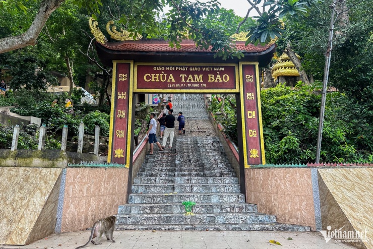 Ngôi chùa ẩn mình trên núi ở TPHCM có đàn khỉ hàng trăm con, hút khách ghé thăm - 1