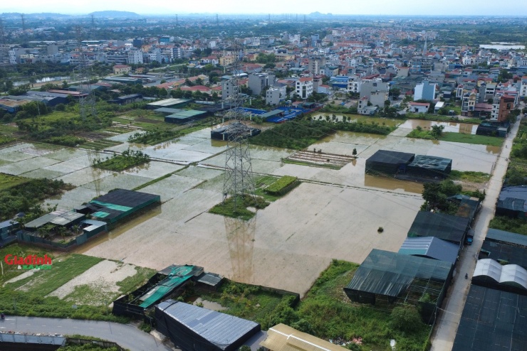 Tình trạng kênh dẫn "tắc nghẽn" khiến hồ chứa không đủ nước chảy về, các tổ máy bơm cũng không thể hoạt động hết công suất. Sau trận mưa lớn sáng nay, nhiều diện tích đất nông nghiệp đã bị ngập, nước không kịp thoát.