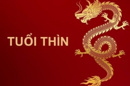 4 con giáp may mắn trong tháng 6 nhuận: Bất ngờ thăng tiến, nhiều hợp đồng