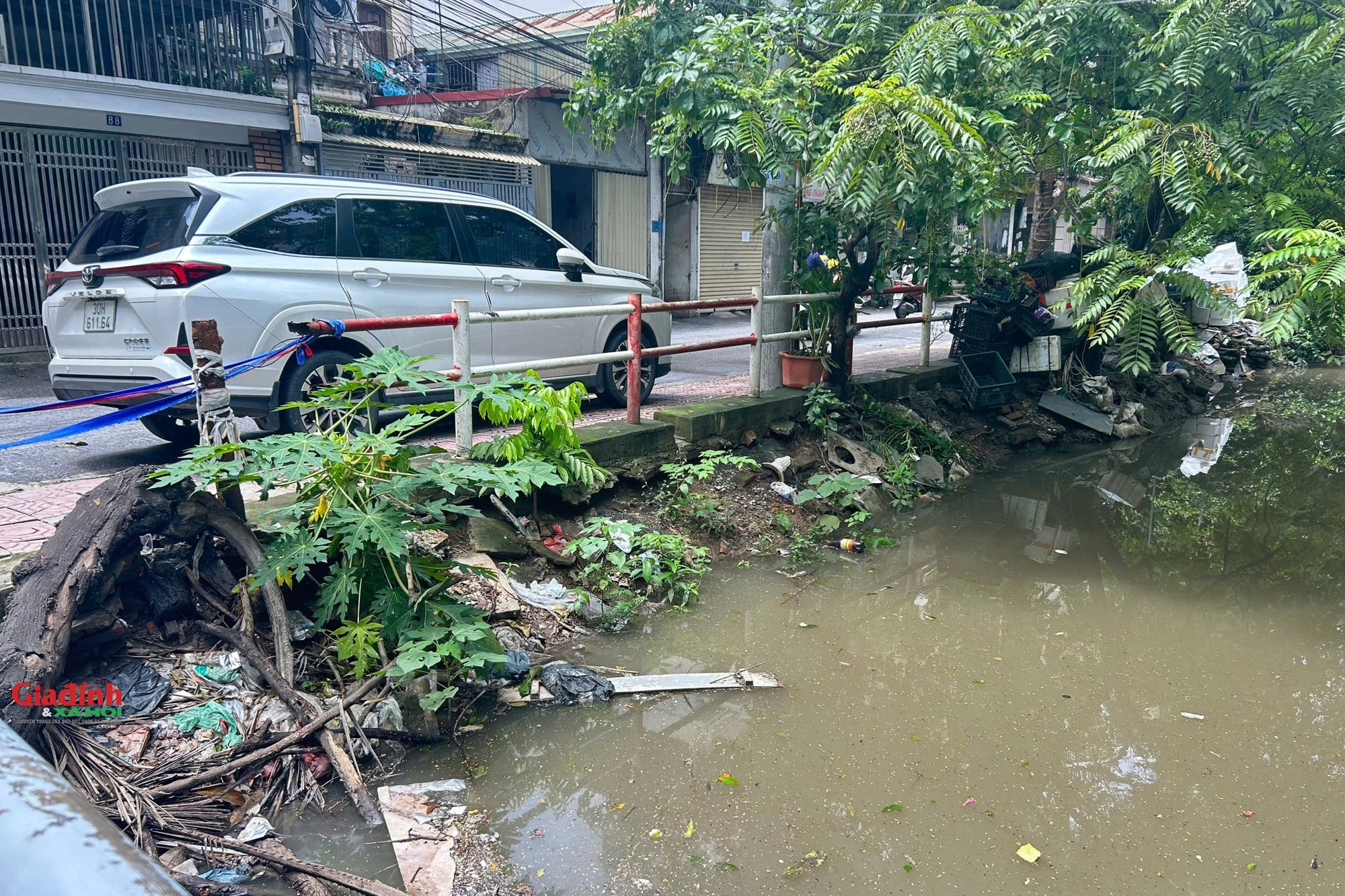 Nước sông dâng cao đã làm cho các vườn rau của người dân ở hai bên bờ sông từ Cổ Nhuế chảy về Hà Đông bị ngập trong nước. Riêng ở phường Hà Đông, tuyến phố Thanh Bình chạy dọc bờ sông có nguy cơ bị nước tràn lên nếu mưa lớn tiếp tục xảy ra trong những ngày tới.