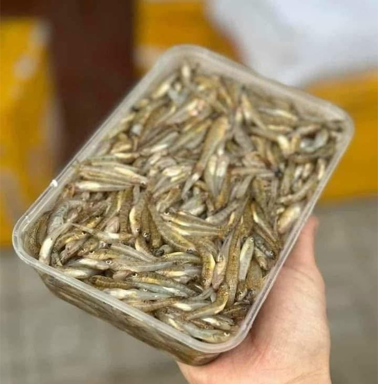 Trước đây, cá bống là món ăn quen thuộc của người dân Phú Thọ, thường gắn với những bữa cơm đạm bạc, dân dã.&nbsp;
