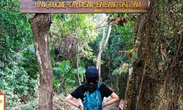Chinh phục rừng già Côn Đảo, đắm mình trong vẻ đẹp thuần khiết của Đất Thắm - 1