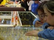 Giá vàng hôm nay, 25-7: Tiếp tục lao dốc