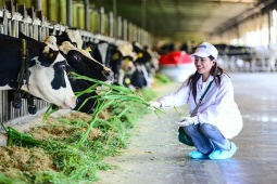 “Mở khóa tự nhiên”: Vinamilk biến rào cản thành vòng tuần hoàn xanh tại trang trại sinh thái