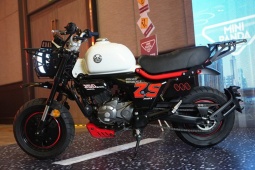 YCLONE MINI PANDA: Minibike 150cc  " nhỏ mà có võ " , dành riêng gen Z phong cách!