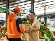 Lalamove giúp khách hàng phân phối Nông sản tiết kiệm 30% chi phí vận chuyển