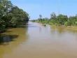 Truy tìm cá sấu ‘sổng chuồng’ ở Cà Mau