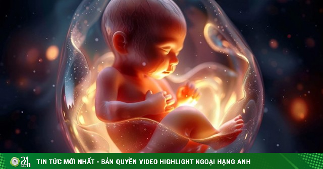 Nhật Bản tiến tới việc tạo ra phôi thai người không cần tinh trùng và trứng