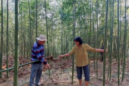 40 tuổi khởi nghiệp  đắp chăn  cho măng, bán đắt hơn thịt khách vẫn mua ầm ầm