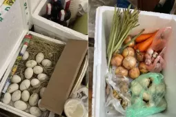 Kéo cả  siêu thị mini  đi biển, gia đình Hà Nội gây sốt khi đến Sầm Sơn