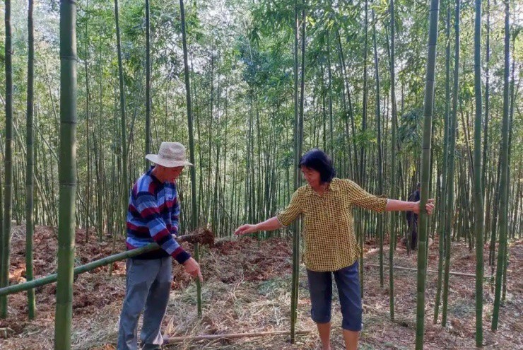 40 tuổi khởi nghiệp “đắp chăn” cho măng, bán đắt hơn thịt khách vẫn mua ầm ầm - 4