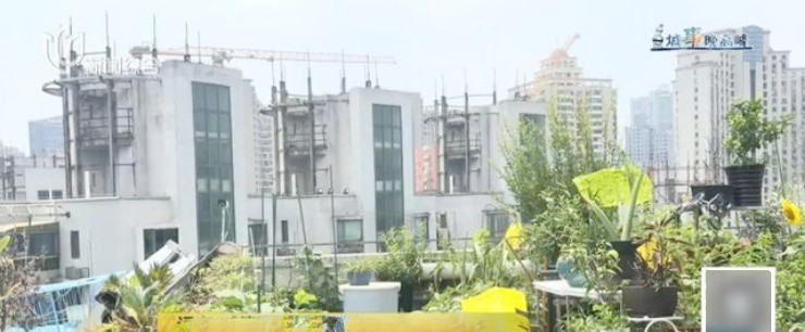 Mái nhà chung cư biến thành nơi “trồng rau, nuôi cá”, cư dân sống trong thấp thỏm - 2