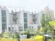Mái nhà chung cư biến thành nơi “trồng rau, nuôi cá”, cư dân sống trong thấp thỏm