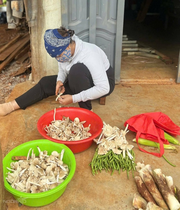 Mẹ H'Hen Niê hái nấm mối, măng, bắp, măng tây sau nhà để làm bữa cơm quê. Ảnh: Nhân vật cung cấp