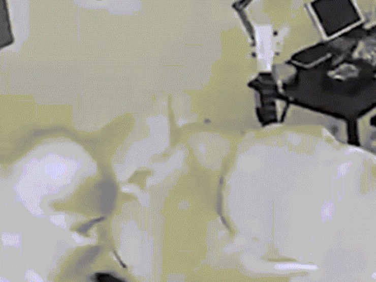 Cặp đôi kinh hãi vì bị kẻ trộm ghé thăm nhiều lần, lặp lại hành động kỳ quái