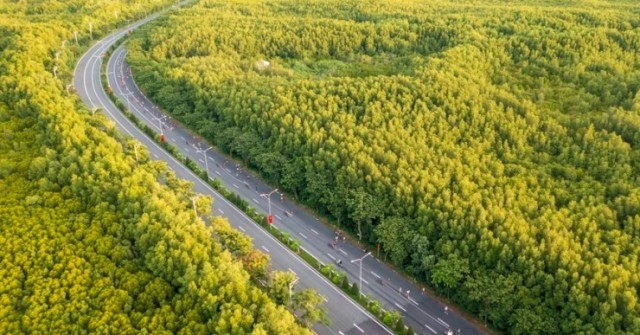 Hai khu vực ở TPHCM sẽ chỉ cho phép đăng ký xe ...