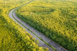 Hai khu vực ở TPHCM sẽ chỉ cho phép đăng ký xe mới là xe điện