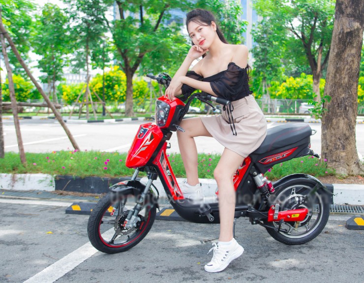 Giá xe đạp điện EV cuối tháng 7/2025, rẻ nhất từ hơn 6 triệu đồng - 4