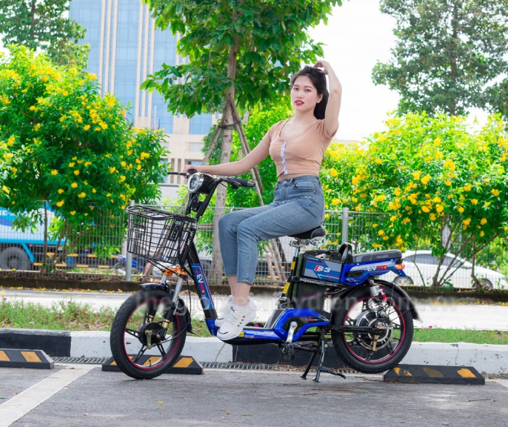 Giá xe đạp điện EV cuối tháng 7/2025, rẻ nhất từ hơn 6 triệu đồng - 2