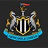 Trực tiếp bóng đá Arsenal - Newcastle: Dowman kiếm penalty xuất sắc, Odegaard ghi bàn (Hết giờ) - 1