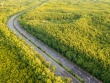 Hai khu vực ở TPHCM sẽ chỉ cho phép đăng ký xe mới là xe điện