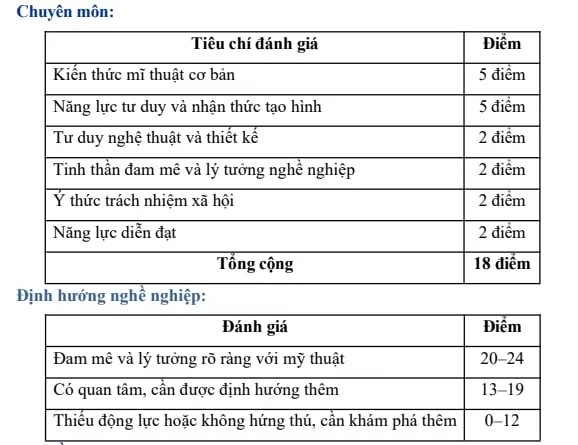 Bảng điểm đánh giá các tiêu chí của bài đánh giá năng lực. Ảnh: CHỤP MÀN HÌNH