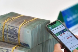Đánh thuế thu nhập cá nhân lên đến 35% với phần vượt 100 triệu đồng là quá cao