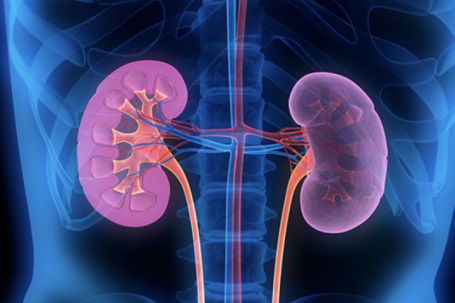 7 triệu chứng ung thư thận dễ bị bỏ qua