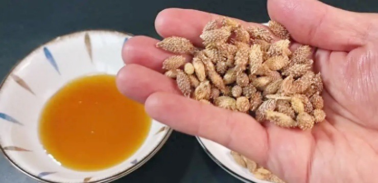 Quả dại xưa ai cũng ghét, nay chi vài trăm nghìn mới mua được 1kg - 2