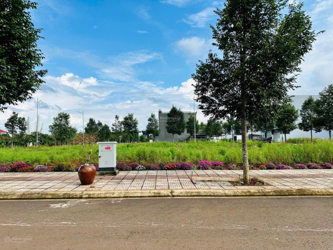 Đất nền phụ thuộc lớn vào tiến độ quy hoạch, ít khả năng tạo dòng tiền ngắn hạn
