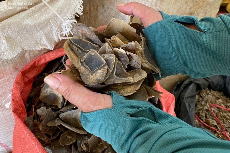 Tang vật vụ án