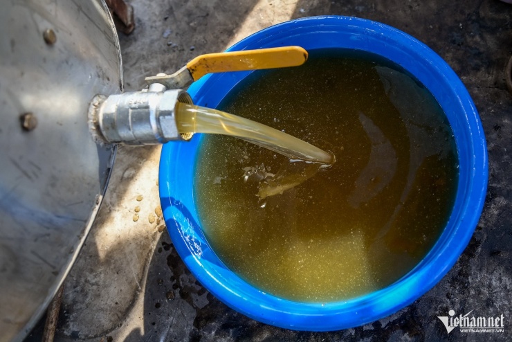 Săn 'mật của biển' ở Ninh Bình, người dân bỏ túi hàng trăm triệu mỗi vụ - 9