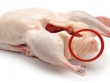 Món ngon từ phao câu gà, vịt và lời khuyên của bác sĩ
