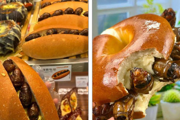 Bánh mì ve sầu: Món ăn gây sốt ở TQ, mỗi ngày bán 300-400 cái