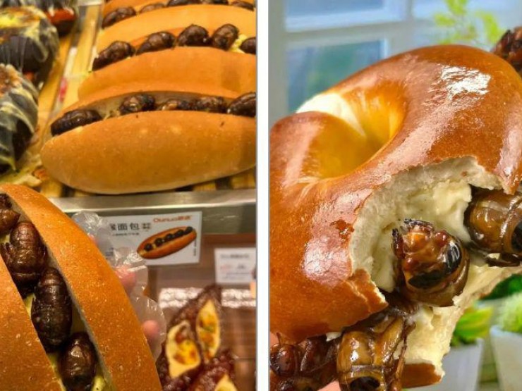 Bánh mì ve sầu: Món ăn gây sốt ở TQ, mỗi ngày bán 300-400 cái
