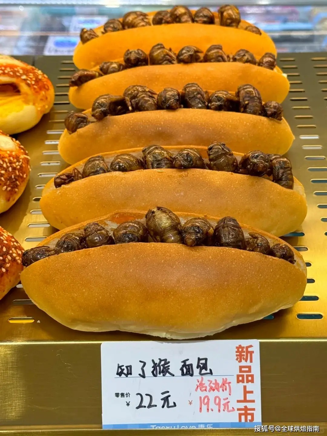 Bánh mì ve sầu: Món ăn gây sốt ở TQ, mỗi ngày bán 300-400 cái - 2