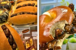Bánh mì ve sầu: Món ăn gây sốt ở TQ, mỗi ngày bán 300-400 cái