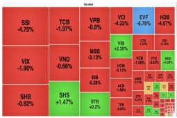 Kinh tế 24h: Chứng khoán sụp mạnh sau khi vượt đỉnh, nhiều nhà đầu tư bắt đầu lo