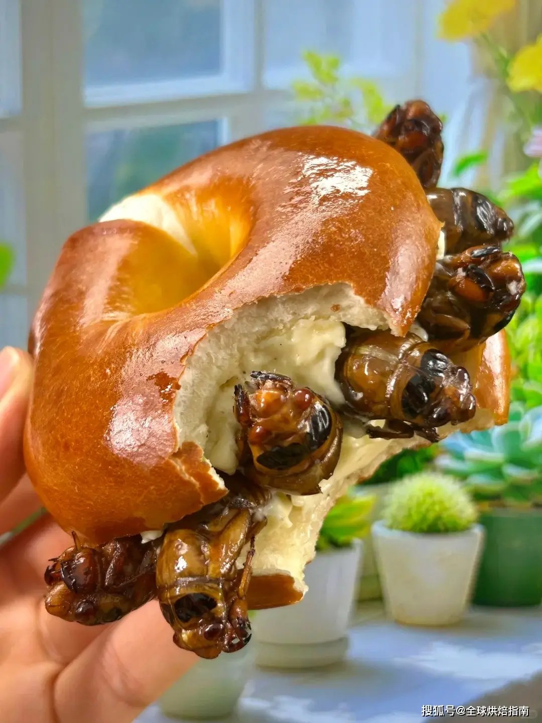 Bánh mì ve sầu: Món ăn gây sốt ở TQ, mỗi ngày bán 300-400 cái - 3