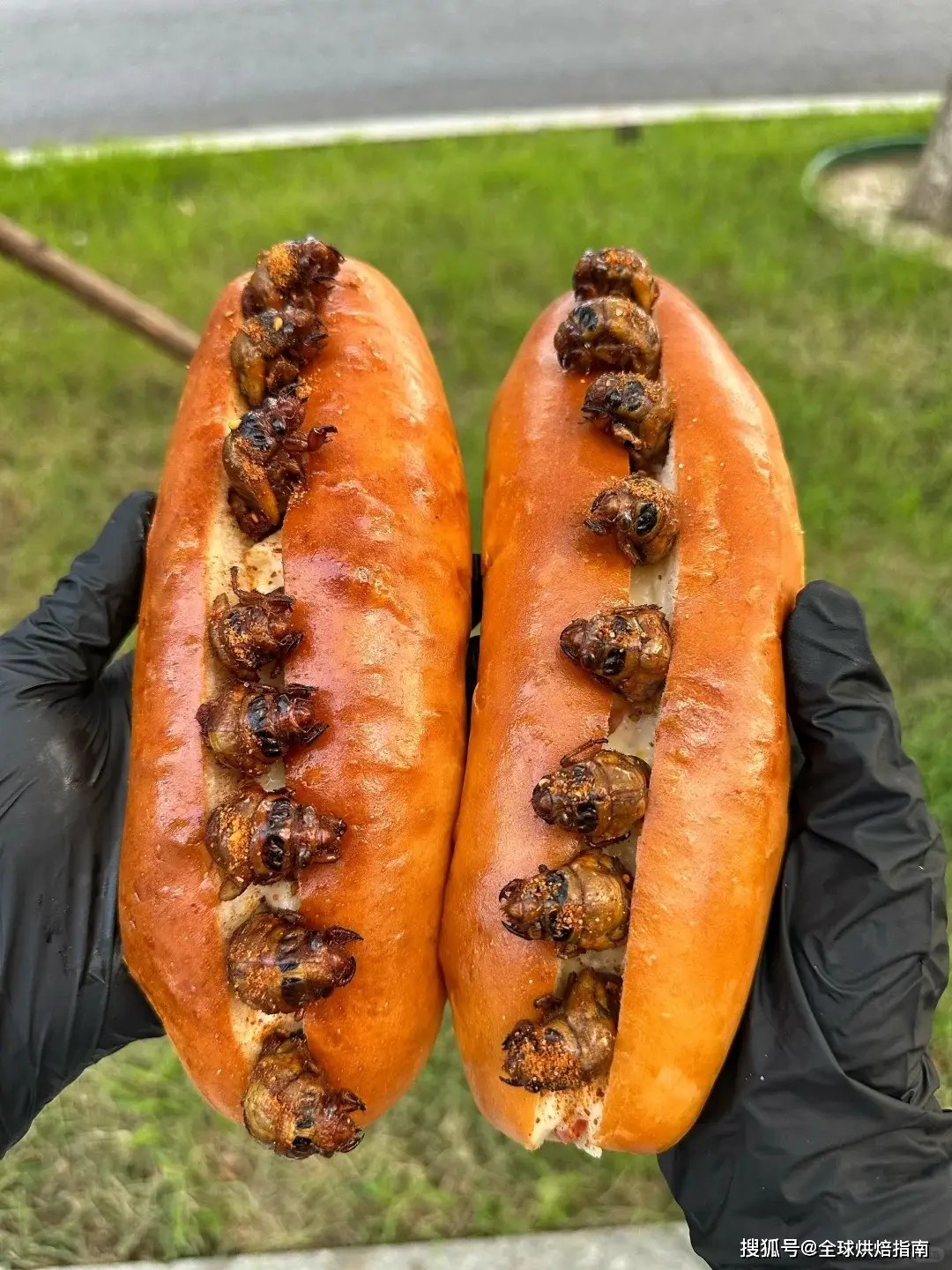 Bánh mì ve sầu: Món ăn gây sốt ở TQ, mỗi ngày bán 300-400 cái - 7