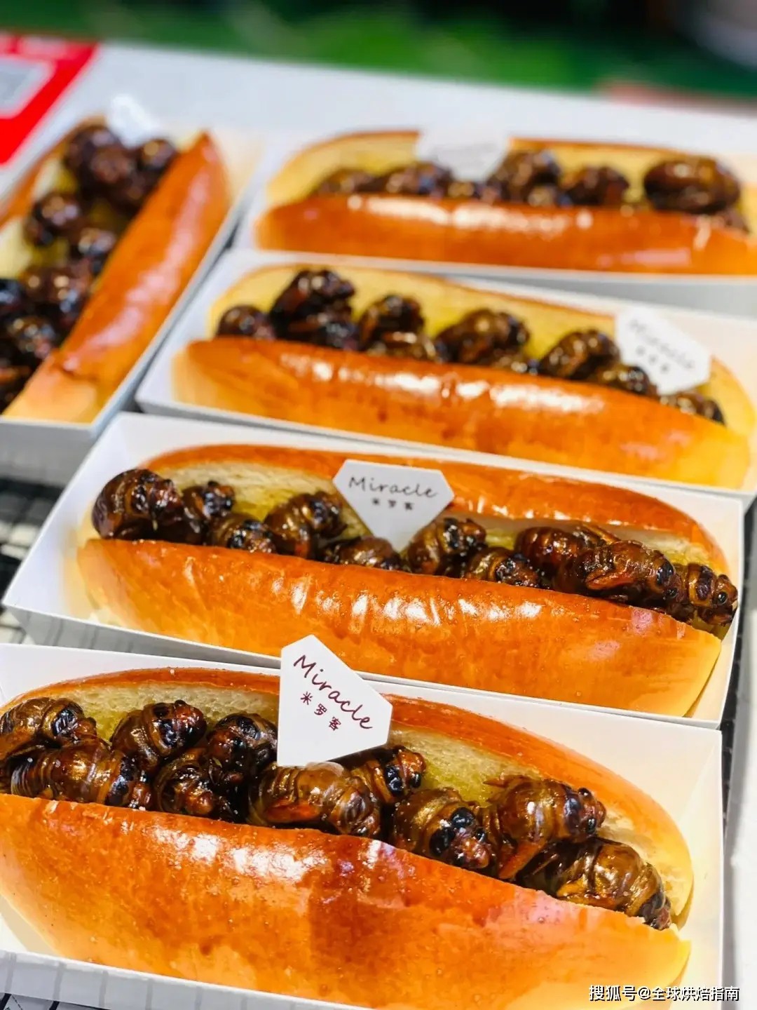 Bánh mì ve sầu: Món ăn gây sốt ở TQ, mỗi ngày bán 300-400 cái - 8