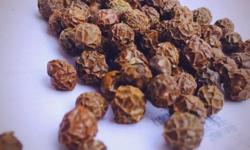 Cây dại trên núi bỗng hóa “lộc trời”, hái bán đếm tiền không kịp - 3