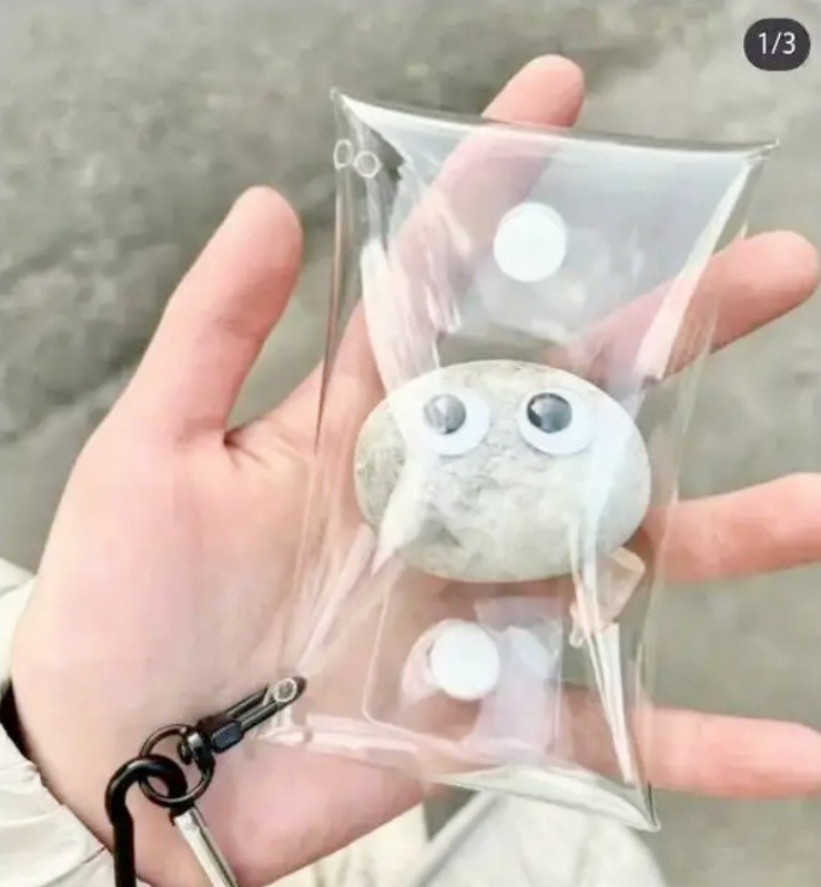 Việc nhẹ lương cao: GenZ nhặt đá đếm tiền, mỗi tháng thu vài chục triệu - 3